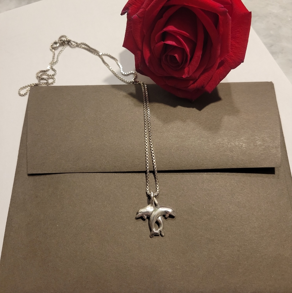 Dolphin pendant on silver box chain